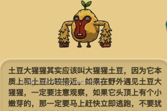 🍚铁人饭量，师兄溜黑简秘籍大公开！